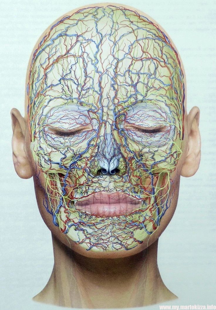 diagram on woman's face