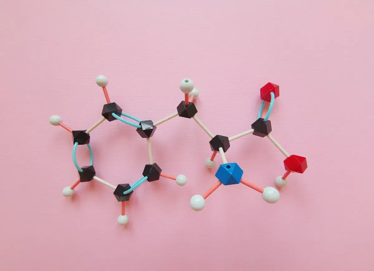 Amino acid molecular model showing what the BPC-157 peptide is, Miami Beach wellness education
